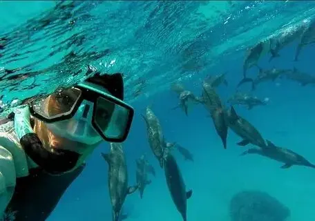 INDIVIDUAL OMAN TOUR