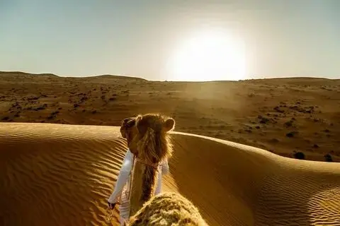 Wahiba Desert & Wadi Bani Khalid Tour